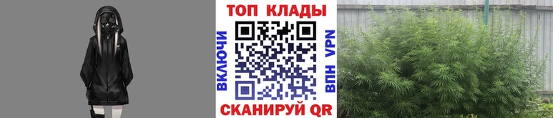 Как найти наркотики Зима Гашиш Каннабис кракен ссылки МЕФ Альфа ПВП