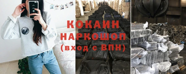 стаф Вязники