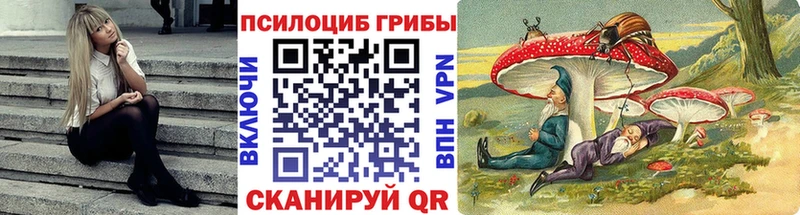 Псилоцибиновые грибы прущие грибы  Зима 